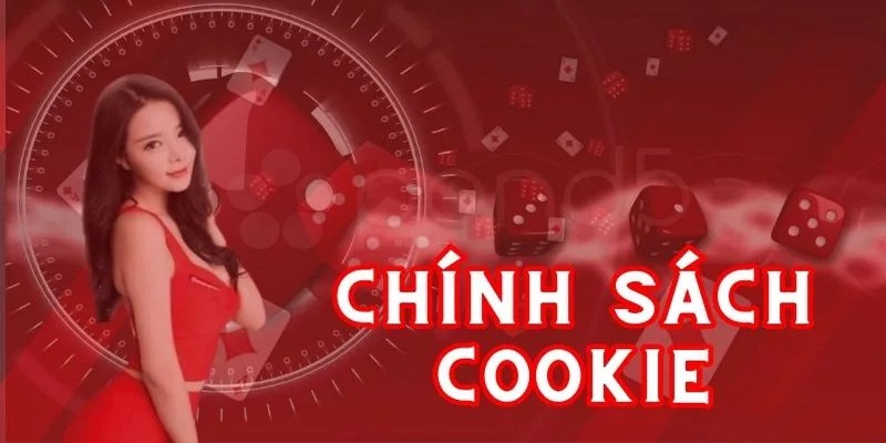 Chính sách cookie tại FB88 sẽ được cập nhật thường xuyên